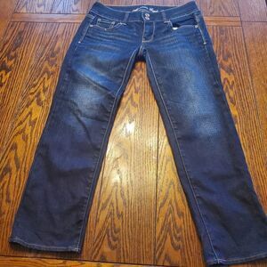 American Eagle artist jeans size 2